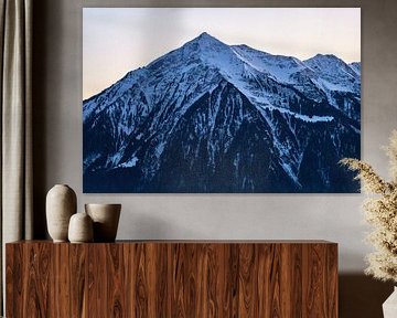 De nies in de schemering van Matthias Luescher