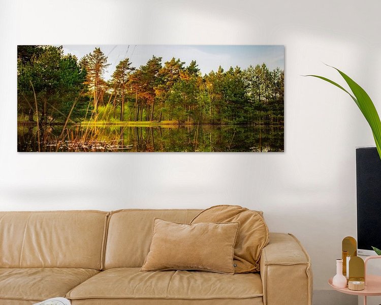 Aperçu de la chambre