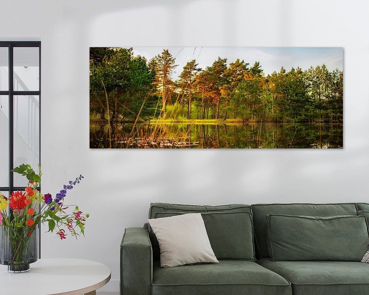 Aperçu de la chambre