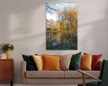 Pond in autumn colours by Detlef Georgi