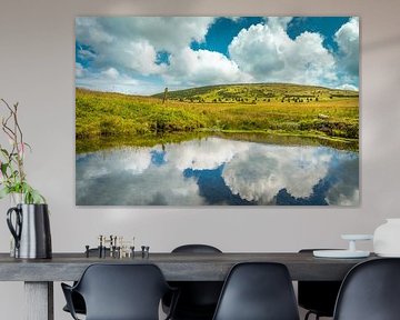 Bílá louka [II] van rosstek ®