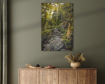 Witte Elbe Vallei [II] van rosstek ®