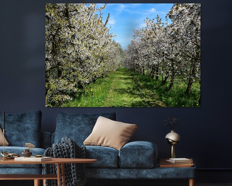 Aperçu de la chambre