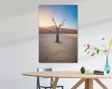 Namibia Deadvlei Baum am Morgen von Jean Claude Castor