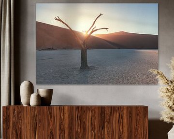 Namibia Sonnenaufgang über der Deadvlei von Jean Claude Castor