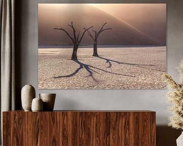 Namibia Deadvlei Bäume von Jean Claude Castor