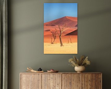 Namibia Bäume in der Deadvlei von Jean Claude Castor