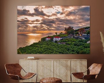 Plantation de bananes Madère sur Matthias Spartz