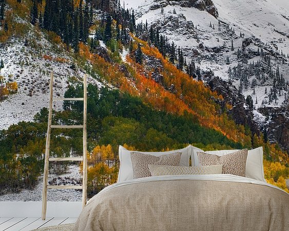 Aperçu de la chambre