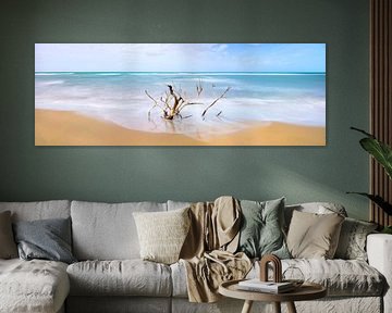 Takken op het strand van Vincent L.