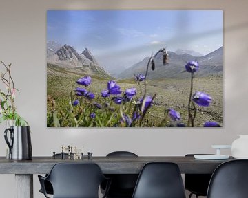 Mont Blanc: Een spectaculaire langeafstandswandelroute door Frankrijk, Italië en Zwitserland - vol gletsjers, bergtoppen, alpenweiden en prachtige bergmomenten. van Miriam Schwarzfischer Fotografie