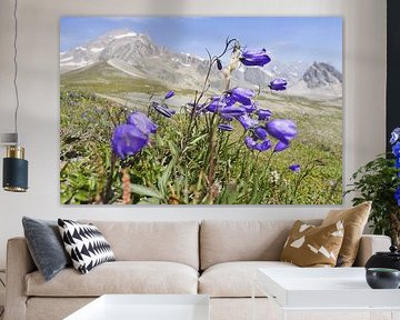 Mont Blanc: Een spectaculaire langeafstandswandelroute door Frankrijk, Italië en Zwitserland - vol gletsjers, bergtoppen, alpenweiden en prachtige bergmomenten. van Miriam Schwarzfischer Fotografie