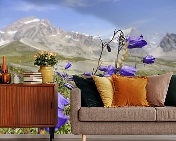 Mont Blanc: Ein spektakulärer Weitwanderweg durch Frankreich, Italien und die Schweiz – voller Gletscher, Gipfel, Alpenwiesen und grandioser Bergmomente.