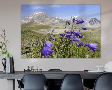 Mont Blanc: Een spectaculaire langeafstandswandelroute door Frankrijk, Italië en Zwitserland - vol gletsjers, bergtoppen, alpenweiden en prachtige bergmomenten. van Miriam Schwarzfischer Fotografie