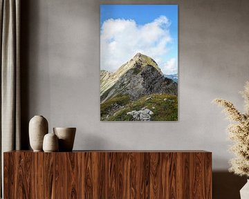 De Ammergauer Alpen: een natuurpark vol rust, ongerepte natuur en indrukwekkende berglandschappen - ideaal voor natuur- en bergfotografie. van Miriam Schwarzfischer Fotografie