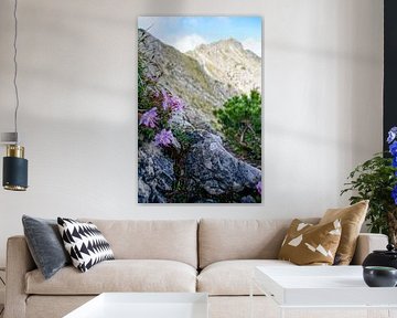 Les Alpes d'Ammergau : un parc naturel plein de calme, d'authenticité et de paysages de montagne impressionnants - idéal pour la photographie de nature et de montagne.