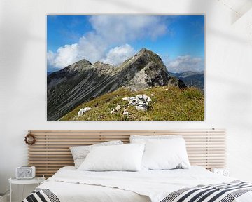 Le parc naturel des Alpes d'Ammergau fait partie des plus beaux paysages de Bavière. Il combine une nature intacte, des montagnes variées et des alpages riches en traditions.