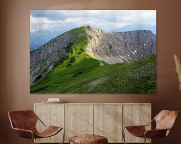 Le parc naturel des Alpes d'Ammergau fait partie des plus beaux paysages de Bavière. Il combine une nature intacte, des montagnes variées et des alpages riches en traditions.