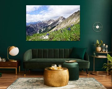 Le parc naturel des Alpes d'Ammergau fait partie des plus beaux paysages de Bavière. Il combine une nature intacte, des montagnes variées et des alpages riches en traditions.