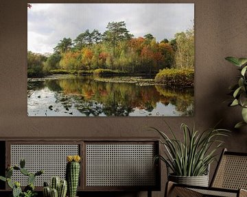 Flüsternde Moore von Foto Moments by M. J. Leenders