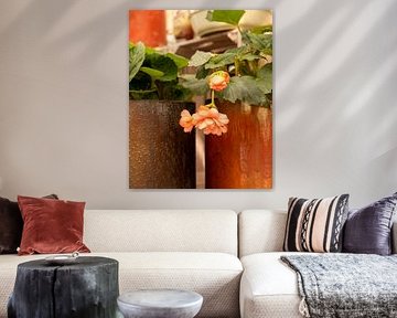 Stilleben, Grüne Hausbegonie im Kupfertopf von Oda Slofstra