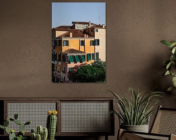Venetian architecture with green shutters and terracotta roofs
