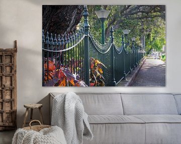 Pracht en Praal van het Park