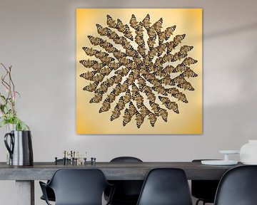 Spirale de papillon sur Joke ten Veen