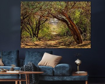 Open plek in het bos