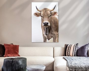 Alpine cow: eye to eye by Daisy Renders