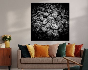 Sugar beet by Hans van der Putten