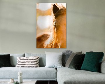 Paard in Zonlicht Gouden Gloed van Verbinding