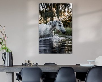 Cheval en mouvement Rythme de l'eau sur Femke Ketelaar