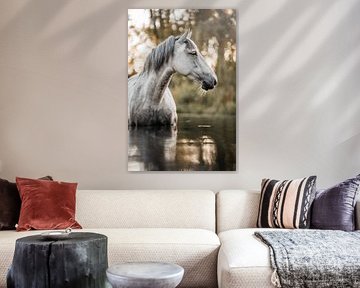 Horse in Reflection Silence on the Water's Surface by Femke Ketelaar