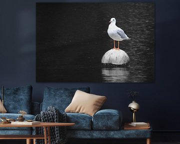 The Seagull by Maickel Dedeken