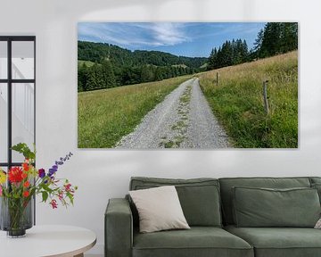 Grindpad door het Alpenlandschap van WSPictures