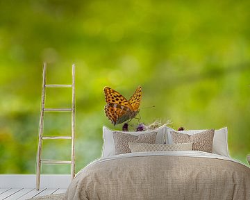 Keizer vlinder op distel bloem van WSPictures
