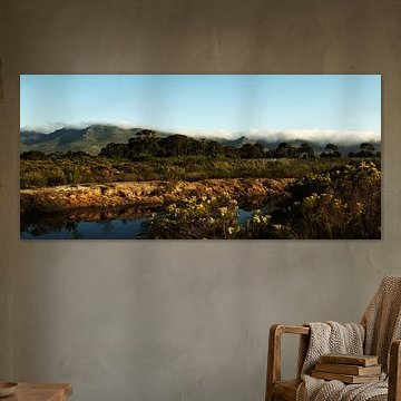 Landschap #pantheraafrica