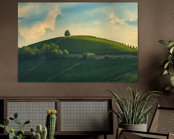Wächter von Barbaresco: Einsamer Baum auf einem Hügel der Langhe von Stefano Orazzini