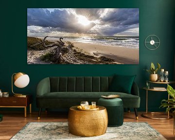 Panorama Darßer Weststrand bij Prerow aan de Oostzee van Werner Dieterich