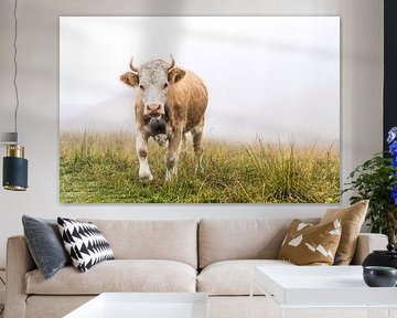 The look of the Alpine cow by Daisy Renders