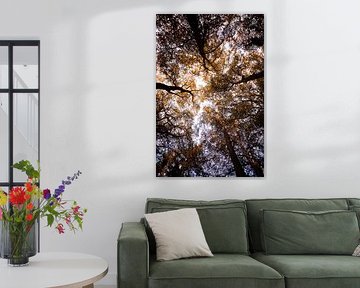 Bladerdak van Jim Plaum