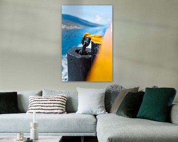 Boot ketting van Jim Plaum