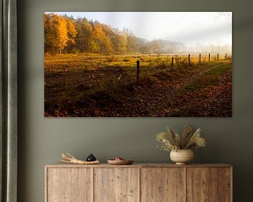 Sunny autumn landscape by Sjoerd van Staveren