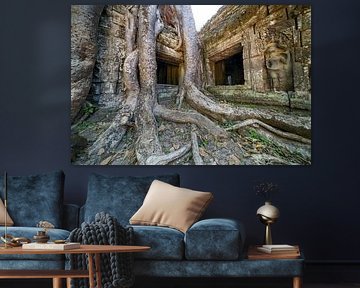 Wo Wurzeln die Zeit umarmen