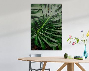 Tropical sur Myrthe Vlasveld