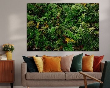 Nature sur Myrthe Vlasveld