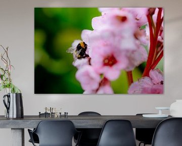 Bee by Myrthe Vlasveld