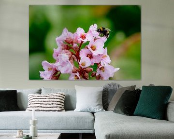 Bee in flower by Myrthe Vlasveld