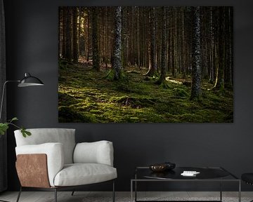 Black Forest Hinterzarten by Luis Emilio Villegas Amador